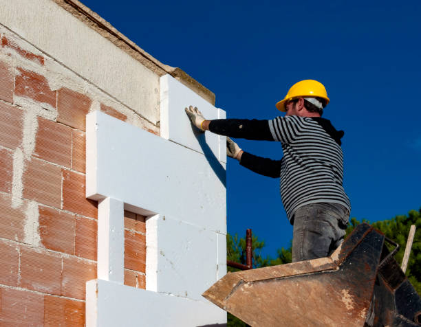 Insulation Inspection Services in San Benito, TX