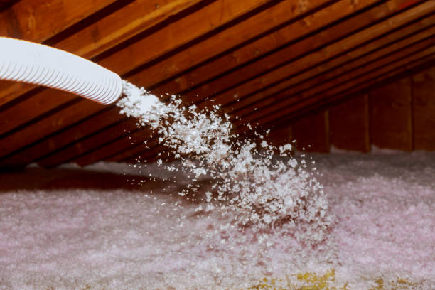 Best Commercial Insulation Contractor  in San Benito, TX