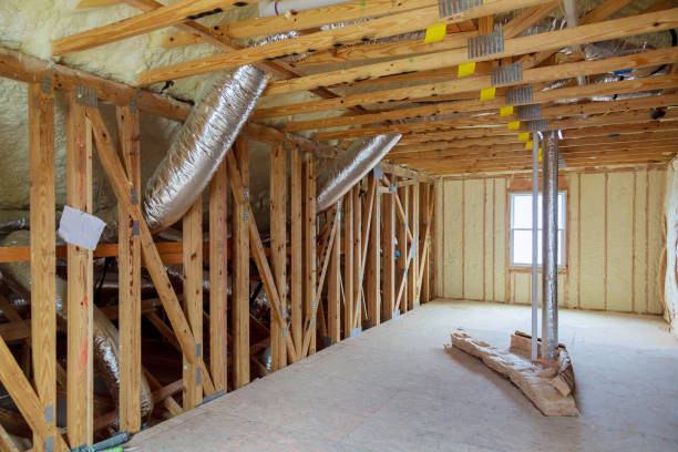 Best Insulation Repair Services  in San Benito, TX